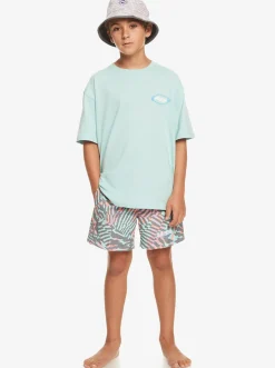 Quiksilver Boy'S 8-16 Visions T-Shirt Pastel Turquoise Best