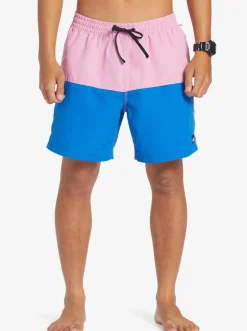 Quiksilver Butt Logo 17