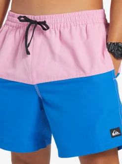 Quiksilver Butt Logo 17