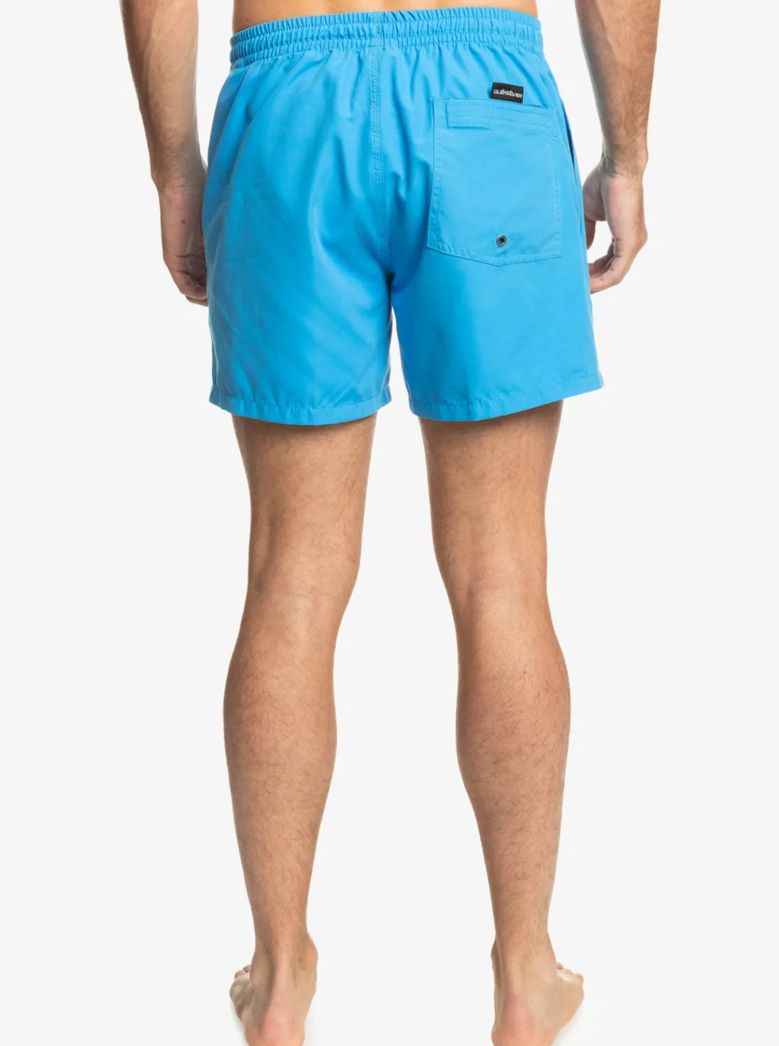 Quiksilver Everyday 15" Volleys Green Gecko Outlet