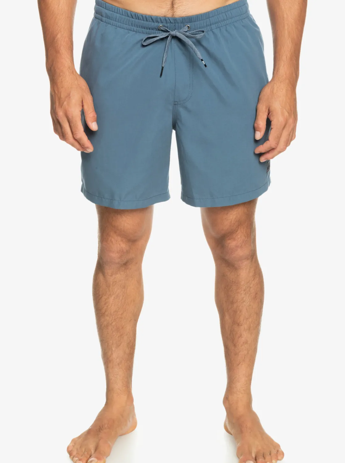 Quiksilver Everyday 17" Volleys For Young Men Navy Blazer Flash Sale