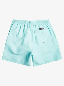 Quiksilver Everyday 17" Volleys For Young Men Pastel Turquoise Clearance