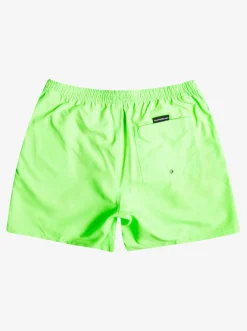 Quiksilver Everyday 17" Volleys For Young Men Green Gecko Cheap