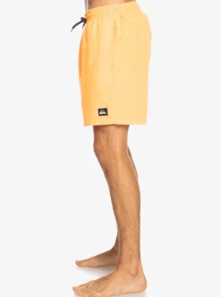 Quiksilver Everyday 17