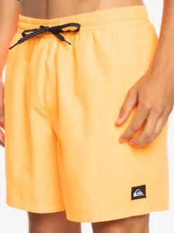 Quiksilver Everyday 17