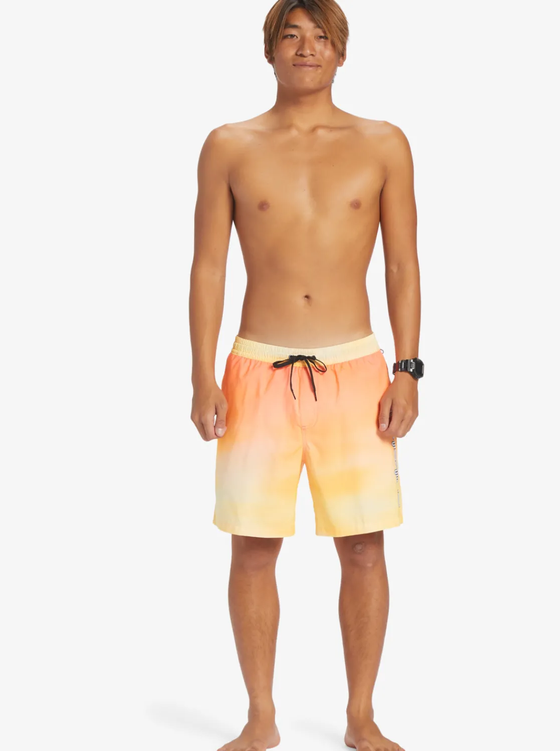 Quiksilver Everyday Breeze 17" Volleys Copper Tan Best Sale