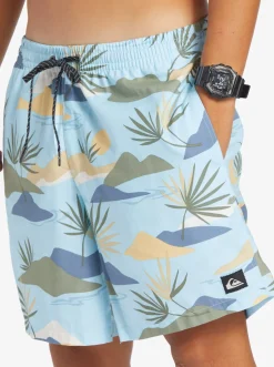 Quiksilver Everyday Mix 17