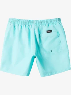 Quiksilver Everyday Vert 16" Volleys Blue Radiance Fashion