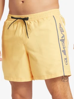 Quiksilver Everyday Vert 16