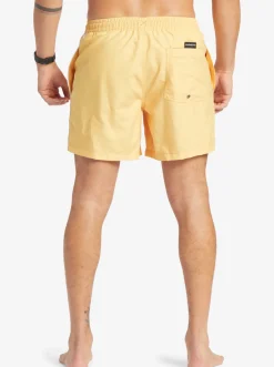 Quiksilver Everyday Vert 16