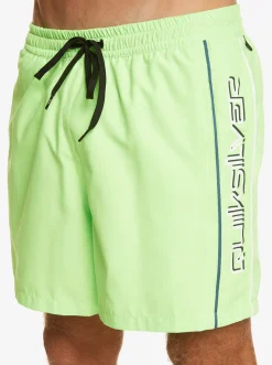 Quiksilver Everyday Vert 16