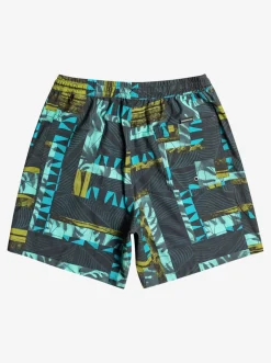 Quiksilver Gregg Kaplan Og Arch Blank Canvas Vl 17" Volleys Black Best