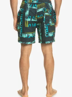 Quiksilver Gregg Kaplan Og Arch Blank Canvas Vl 17