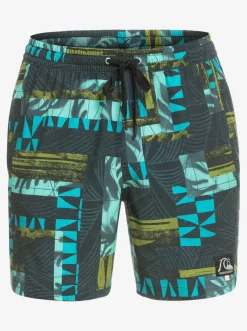 Quiksilver Gregg Kaplan Og Arch Blank Canvas Vl 17