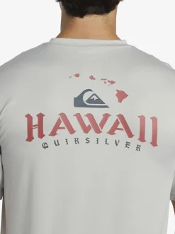 Quiksilver Hi Royalty Surf Short Sleeve Upf 50 Surf T-Shirt Grey Violet Hot