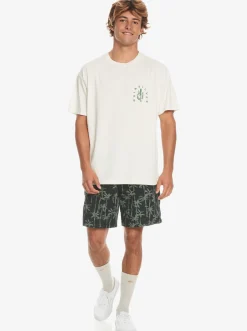 Quiksilver Silver Lining T-Shirt Birch Sale