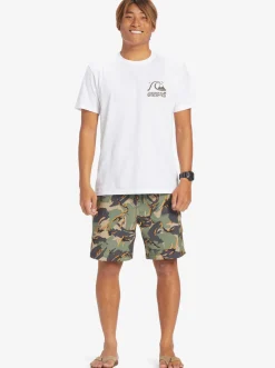 Quiksilver Taxer Cargo 18