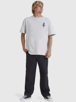 Quiksilver Tridagger T-Shirt Gray Violet Discount