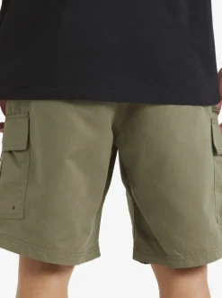 Quiksilver Waterman Maldive Atoll Cargo 20