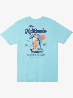 Quiksilver Waterman Santa Qt-Shirt Gulf Stream Cheap