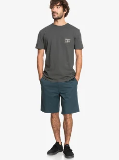 Quiksilver Waterman Secret Ocean 20